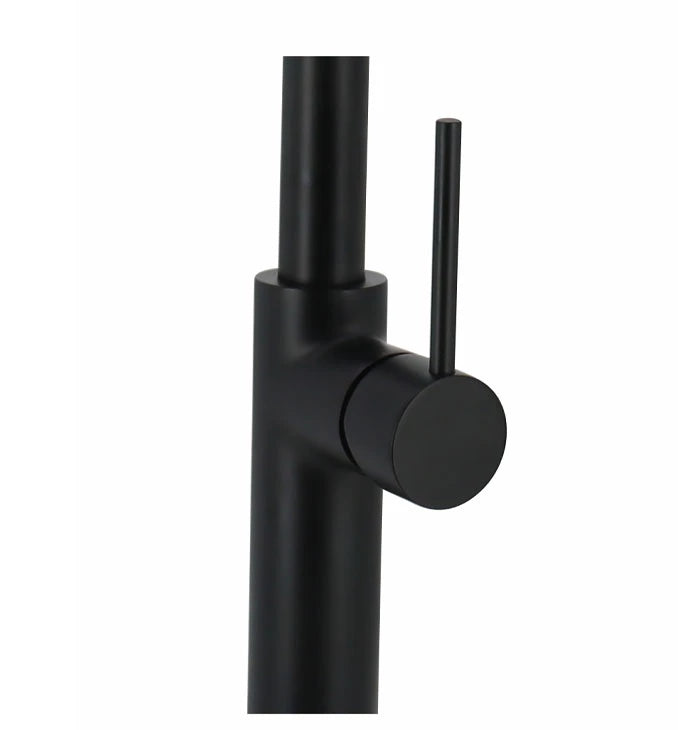 JEDNORUČNA BATERIJA ZA SUDOPERU COPEN PEPPER B SA FLEX LULOM 2F MAT CRNA